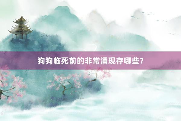 狗狗临死前的非常涌现存哪些？